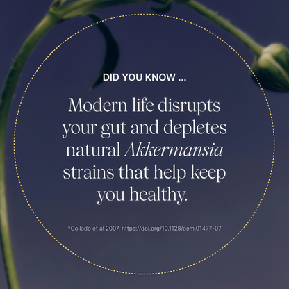 Pendulum Akkermansia 90 CAPSULES